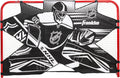 NHL Street Hockey Goalie Shooting Target - Practice Accuracy