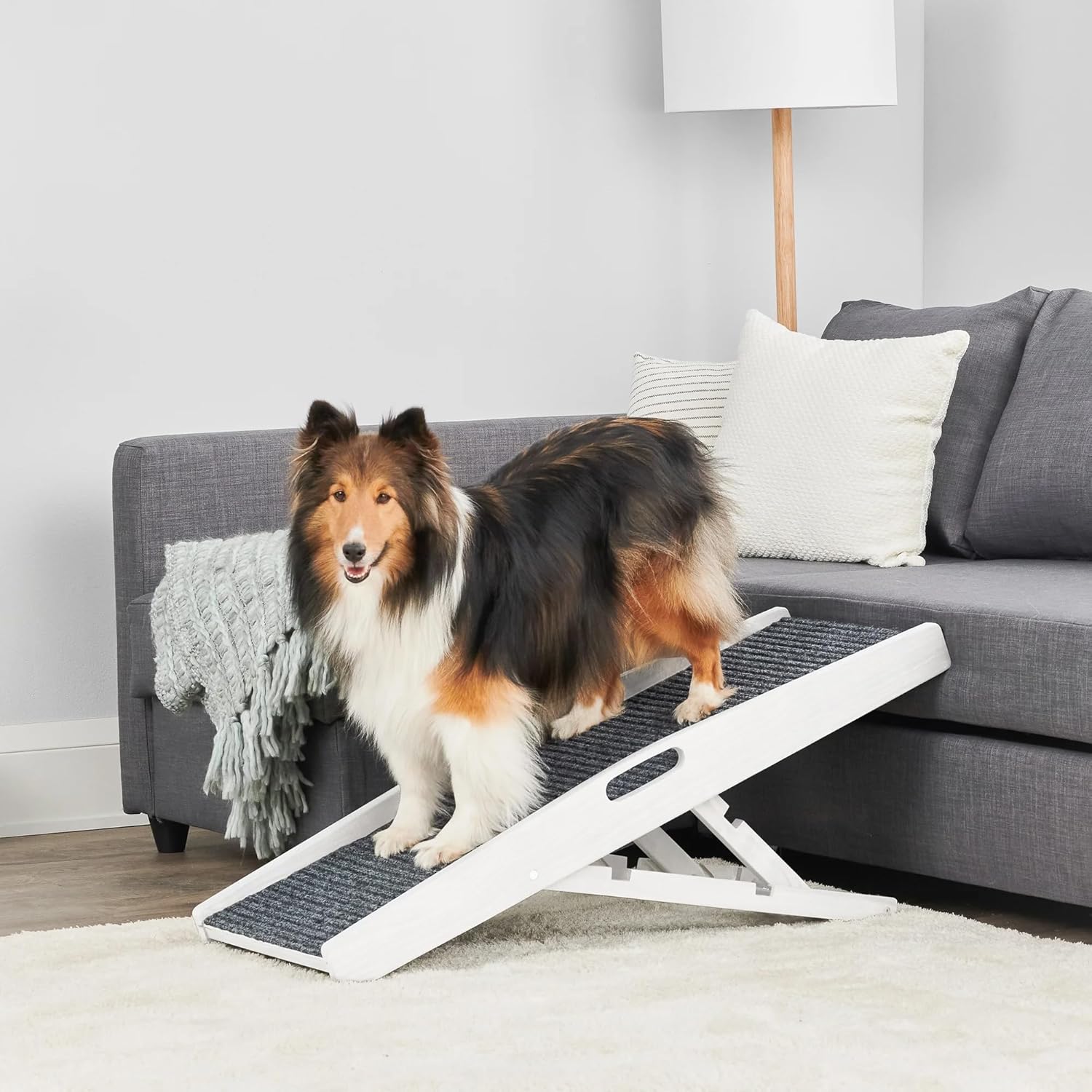 Carlson 39.5in Indoor Pet Ramp for Safe and Easy Access