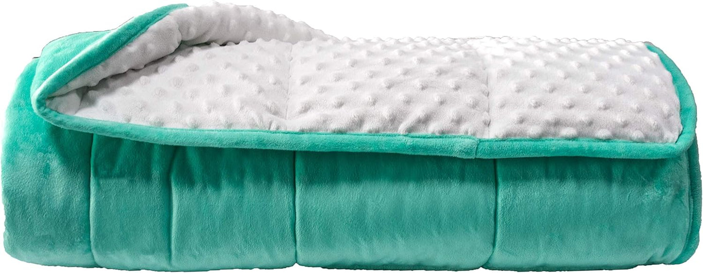 Reversible Weighted Blanket for All Seasons - 15Lb Luxury Velvet