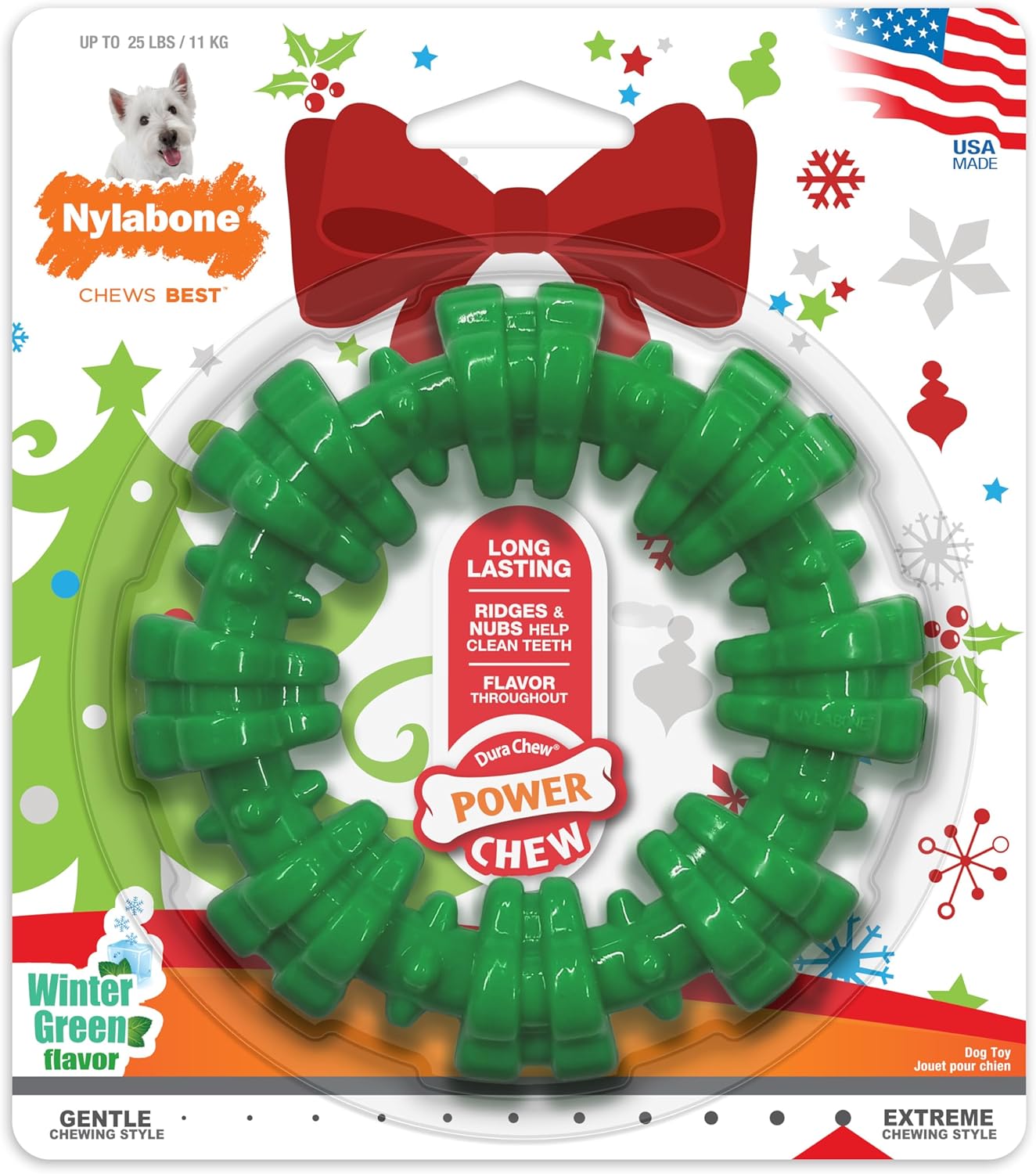 Nylabone Textured Ring Toy for Aggressive Chewers - Winter Green, Small
