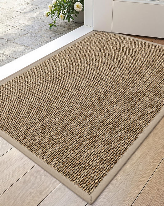 DEXI Entryway Door Mat 24x36, Non Slip Rubber Backing Doormat