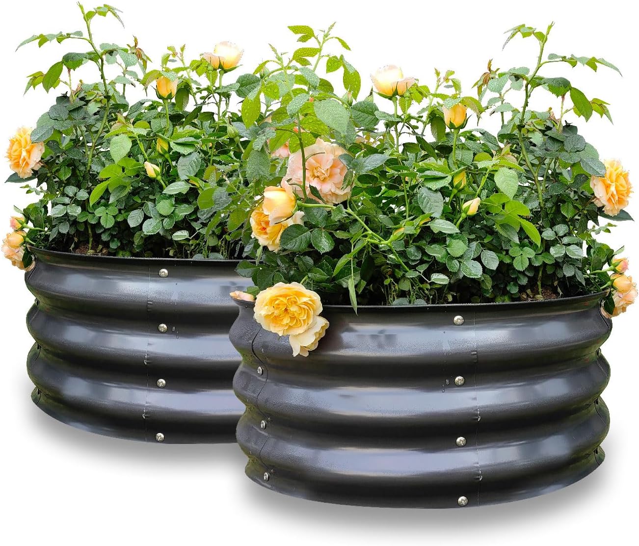 GARDMAX 2 Pack Round Raised Garden Bed Kit for Outdoor Use