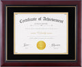 Picture Frame Classic Cherry Wood 10.5x11 in Certificate Frame - Clean