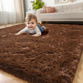 Dark Brown Fluffy Area Rug 5x7 - Plush Shaggy Cozy Accent Rug