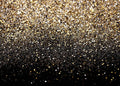 Black and Gold Backdrop 12x10FT Vintage Photography Backdrop - Bold