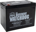 Basement Watchdog Maintenance Free AGM Battery for Sump Pumps