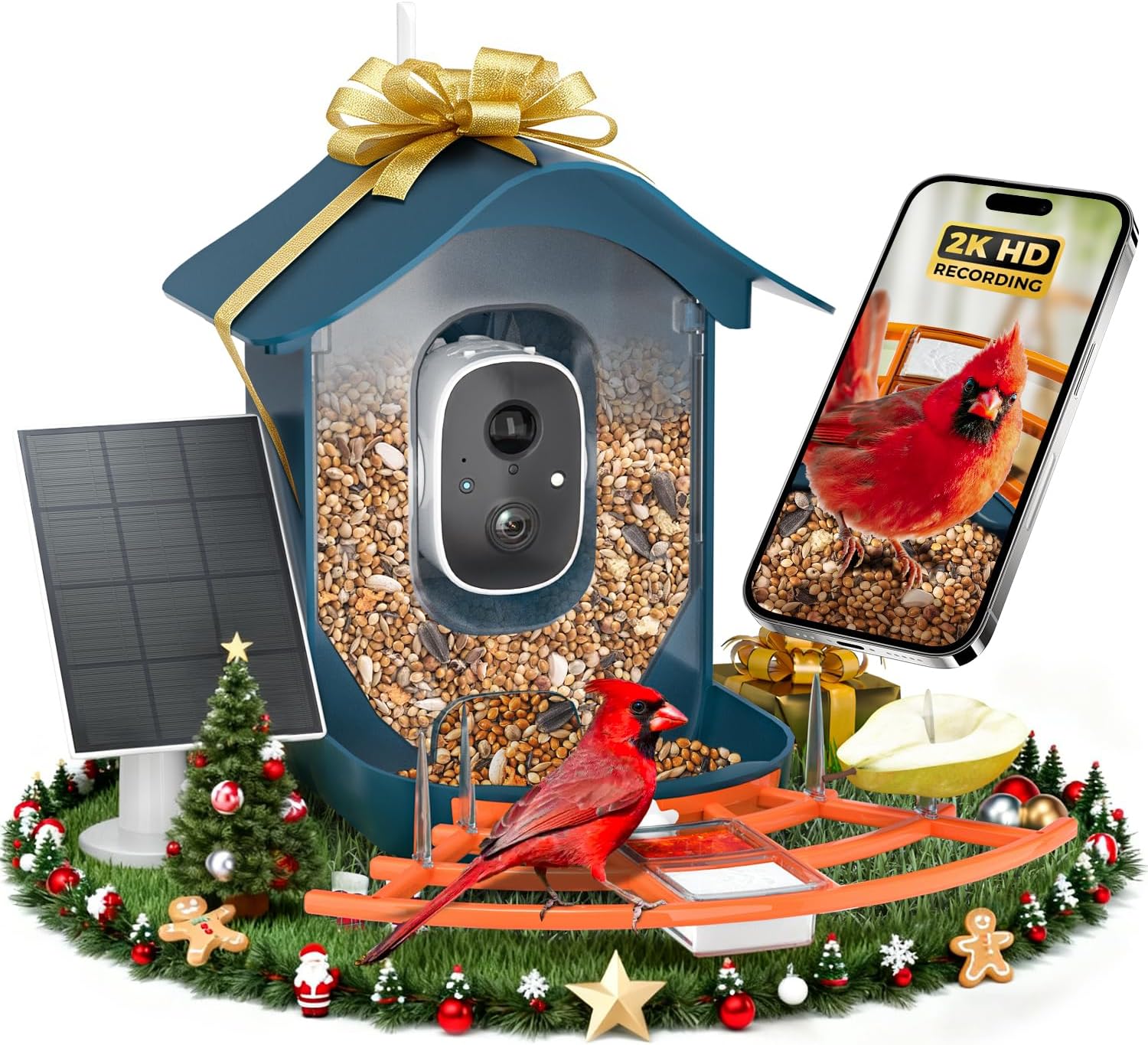Smart Bird Feeder with Camera for Bird Lovers and Enthusiasts