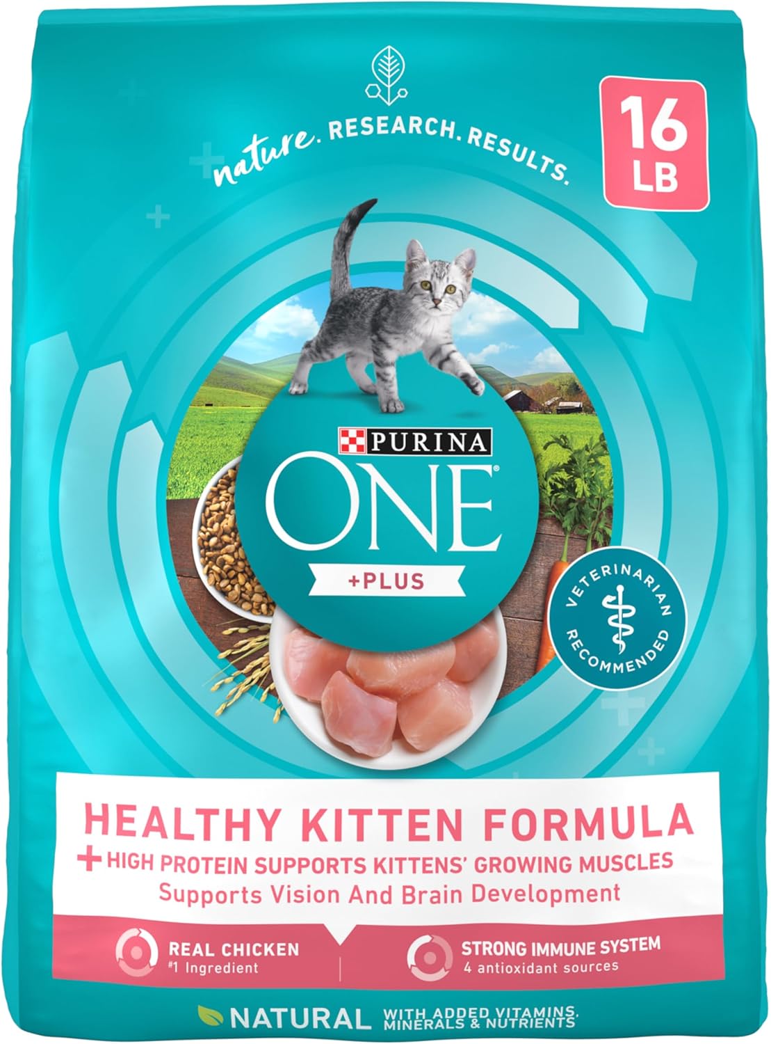 Purina ONE High Protein Natural Dry Kitten Food for Healthy Growth