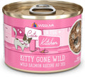 Weruva Cats in the Kitchen Kitty Gone Wild Salmon - Premium Wet Cat