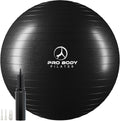 Stability Exercise Ball 55 cm - Gym Grade Anti Burst Balance Ball
