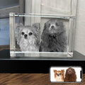 Personalized Dog, Cat Memorial Gifts - Laser Etched 3D Crystal