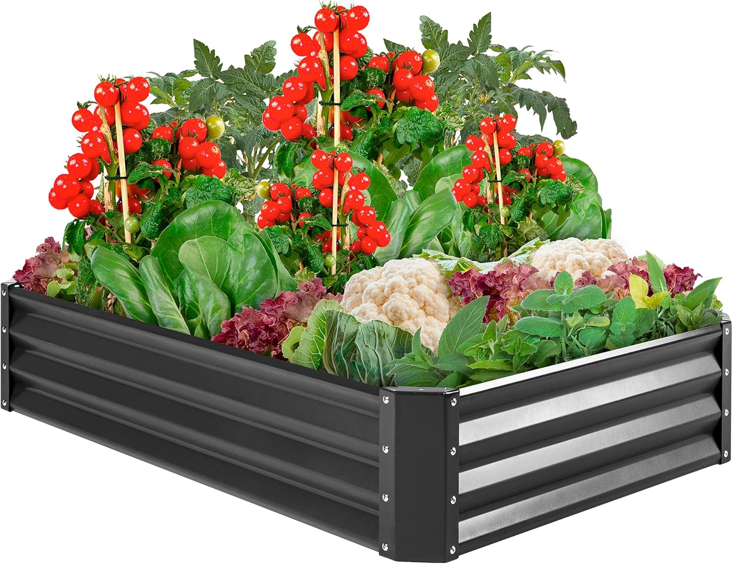 Outdoor Metal Raised Garden Bed Box for Vegetables and Herbs