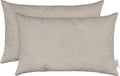 20in x 12in Cast Silver Lumbar Throw Pillows Set of 2 - Performance