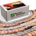 Garden Heirloom Seed Vault with 100 Varieties for All Seasons