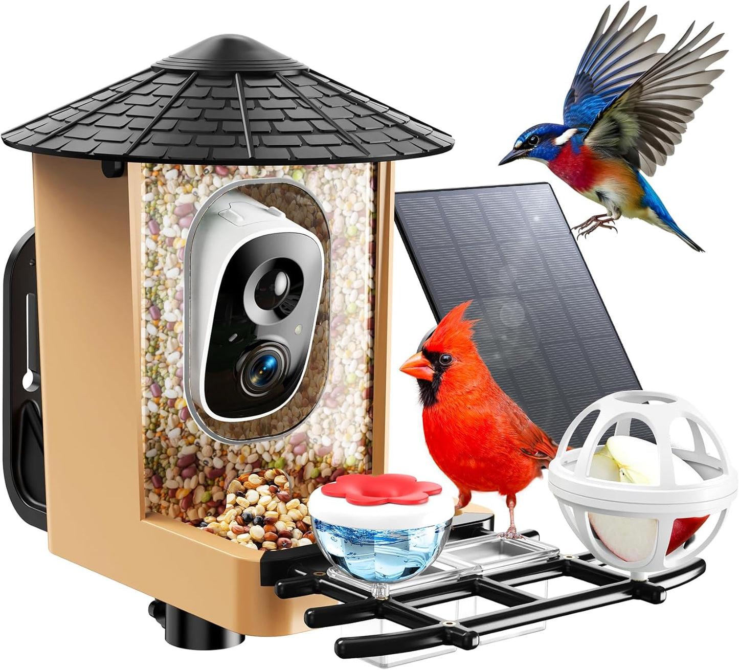 Smart Bird Feeder with Camera for Bird Lovers - 2K Clarity