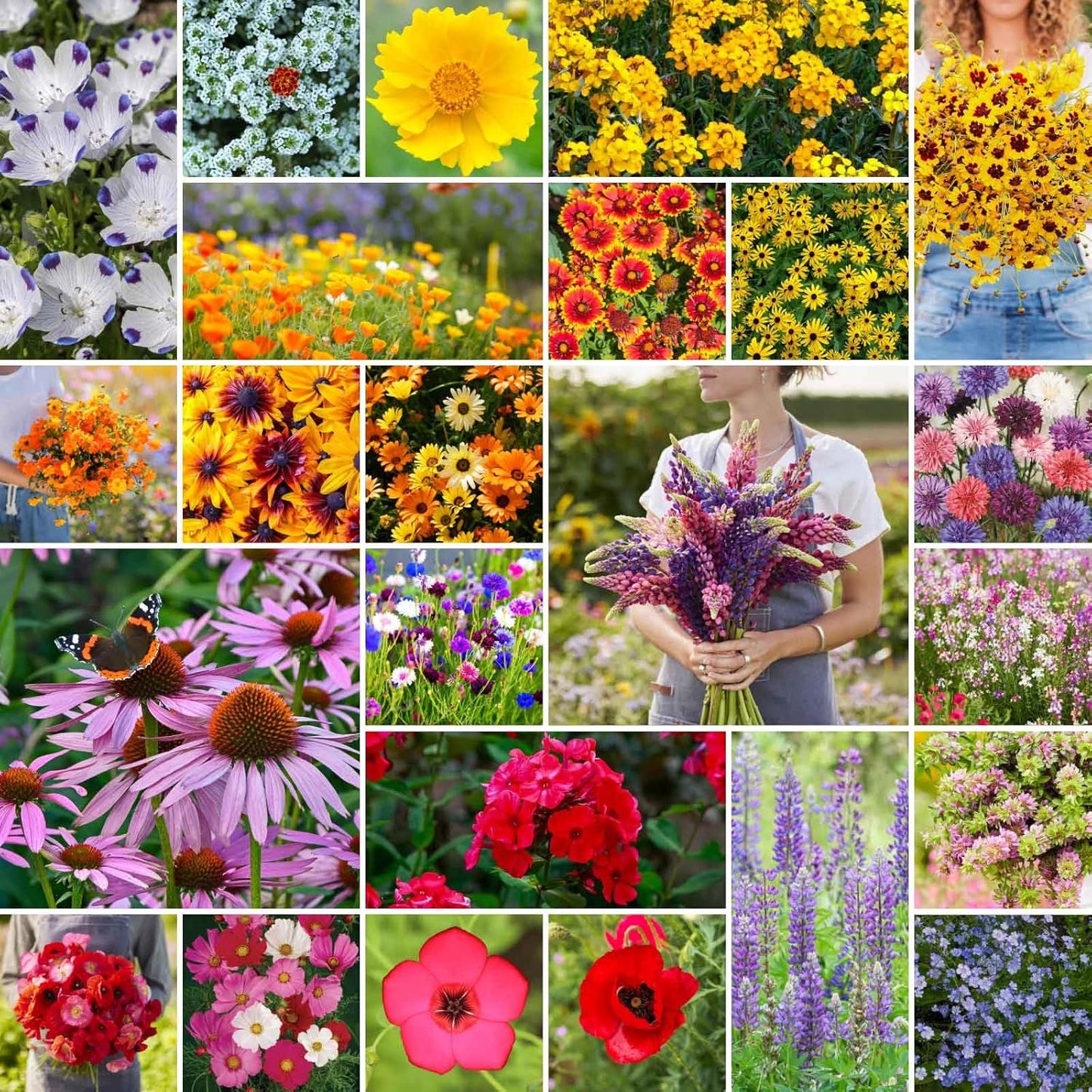 Southeast Wildflower Mixed Seeds for Planting - 25 lb Bulk