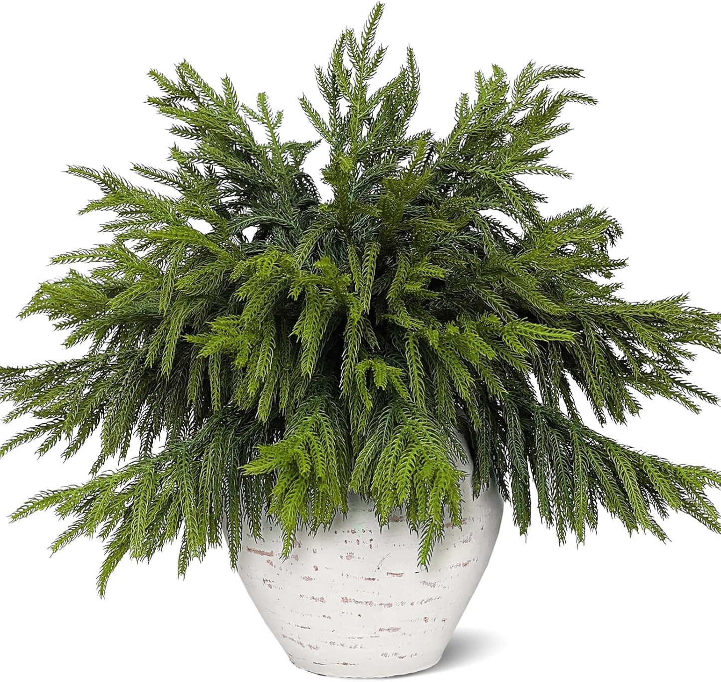 80 Pcs Real Touch Norfolk Pine Branches for Festive Decor