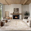 5x7 Area Rug Living Room Rug - Washable Vintage Abstract Soft Low Pile