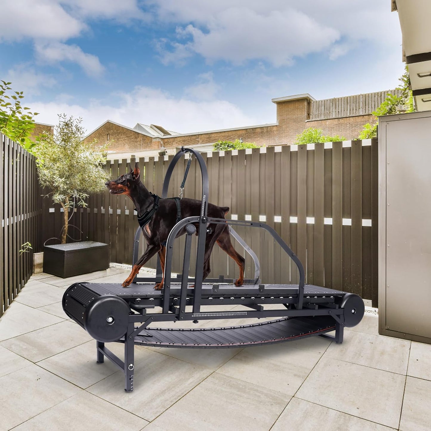 Dog Treadmill for Large and Medium Dogs - Adjustable Slatmill