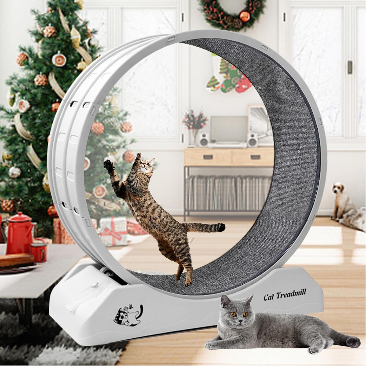 Cat Exercise Wheel for Indoor Cats - Homegroove 31.5 Inch Treadmill