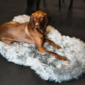 Luxury Faux Fur Orthopedic Dog Bed - Memory Foam Comfort