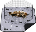 JollyMate 63in x 63in Washable Pee Pad for Dogs - Ultra Absorbent