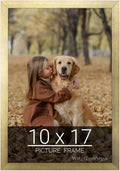 wallsthatspeak 10x17 Gold Picture Frame for Posters and Puzzles
