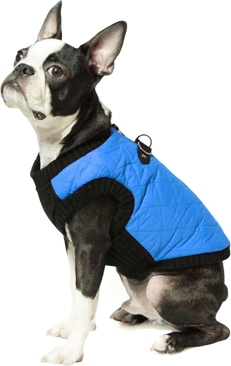 Gooby Fashion Vest Dog Jacket - Warm Zip Up Bomber for Small Dogs