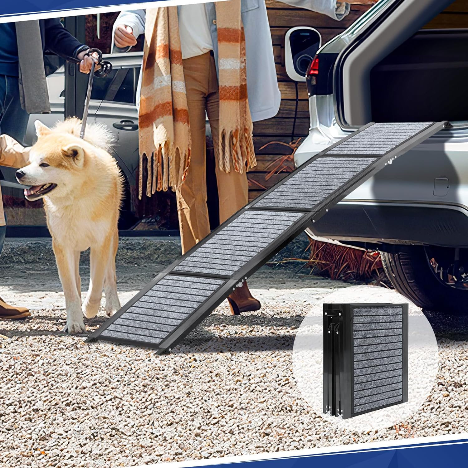 PENSUN Dog Ramp for Car - Lightweight 71in Foldable Pet Ramp