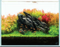 UNS Ultra Clear Rimless Tank 25.6GAL - High Clarity Rimless Aquarium