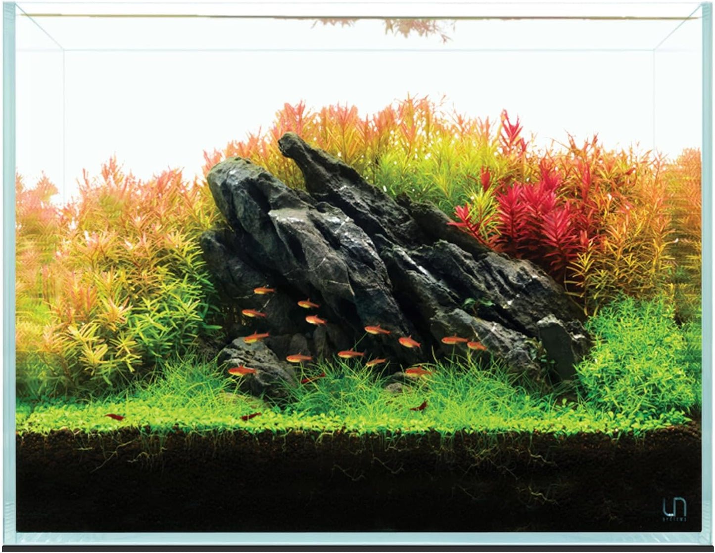 UNS Ultra Clear Rimless Tank - 25.6GAL Low Iron Clarity