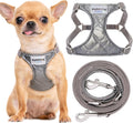 XS No Pull Dog Harness Glossy Grey - Ultra Light Fit for Teacup Dogs
