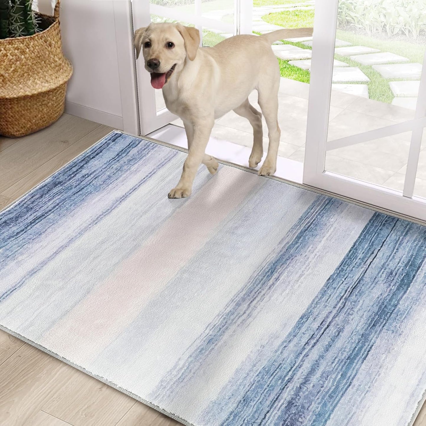CRISTGEE Door Mat - Soft Non-Slip Entryway Rug for Home