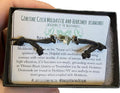 Real Raw Moldavite and Herkimer Diamond Adjustable Friendship Bracelet