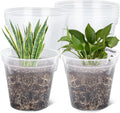 10 in Clear Nursery Pots Value Pack - See Roots, Great Drainage