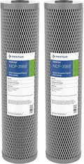 Pentek NCP-20BB Big Blue Carbon Water Filter Pack of 2 - Whole House