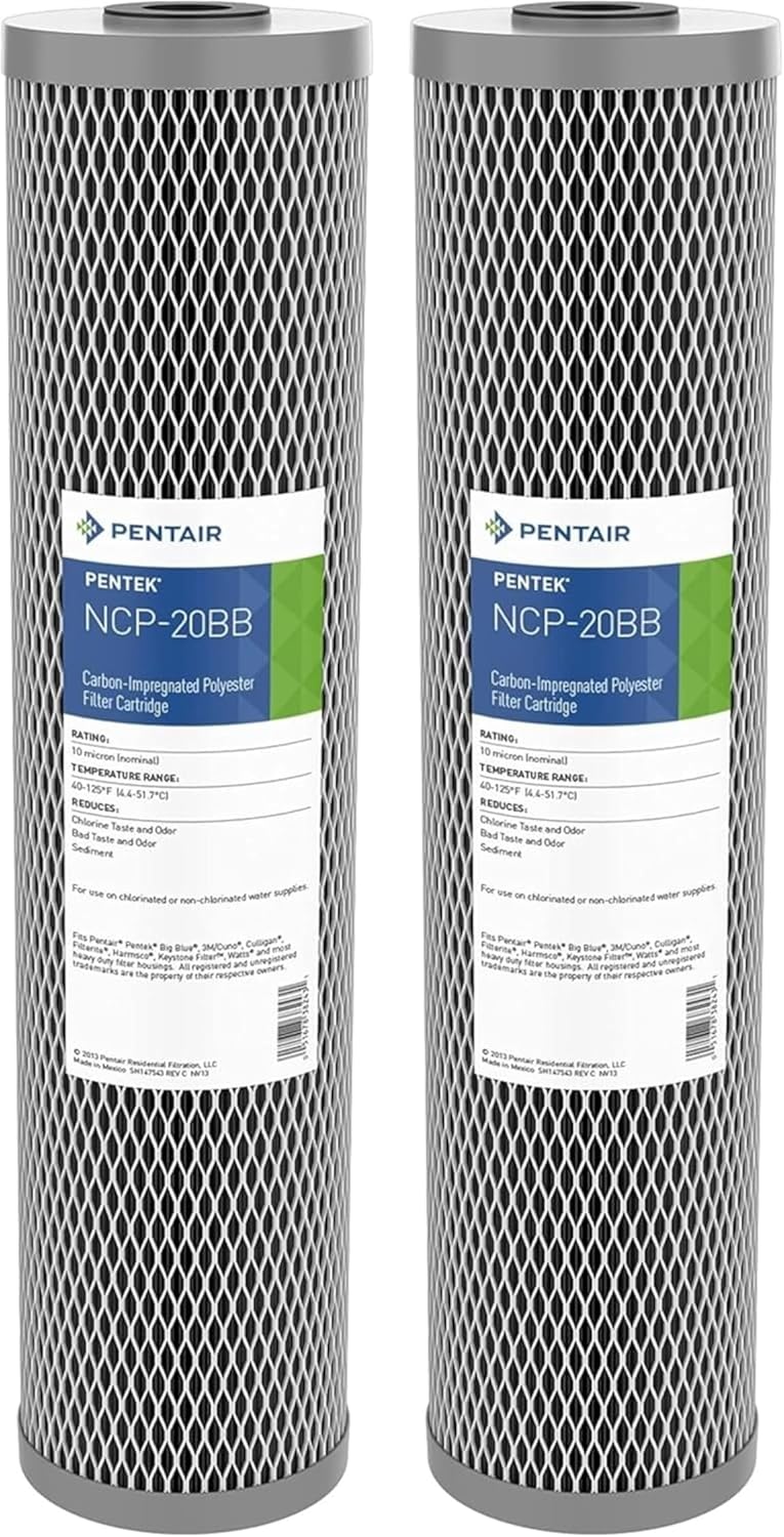 Pentair Pentek NCP-20BB Big Blue Carbon Water Filter Review