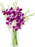 Exotic Opal Orchid Bouquet with Vase for Any Occasion