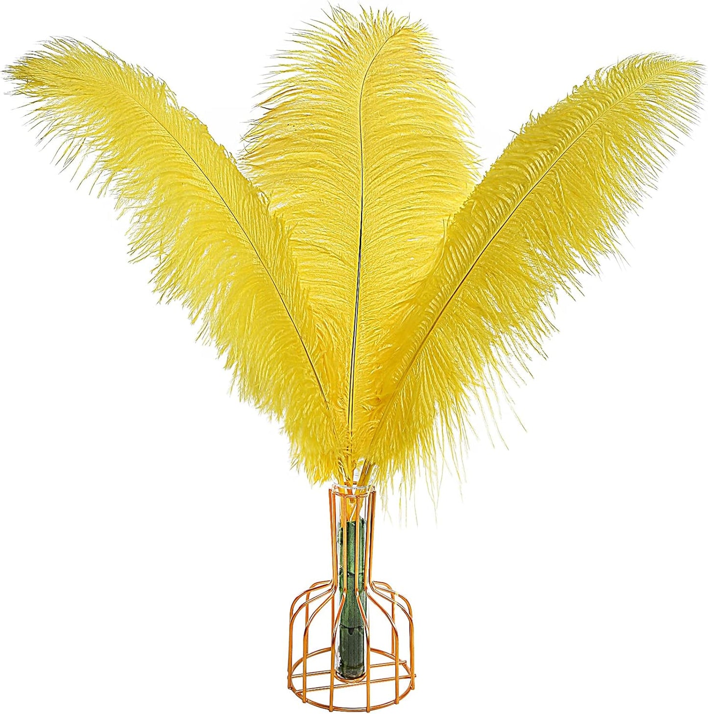 Natural Bulk Ostrich Feathers for Elegant Wedding Decor