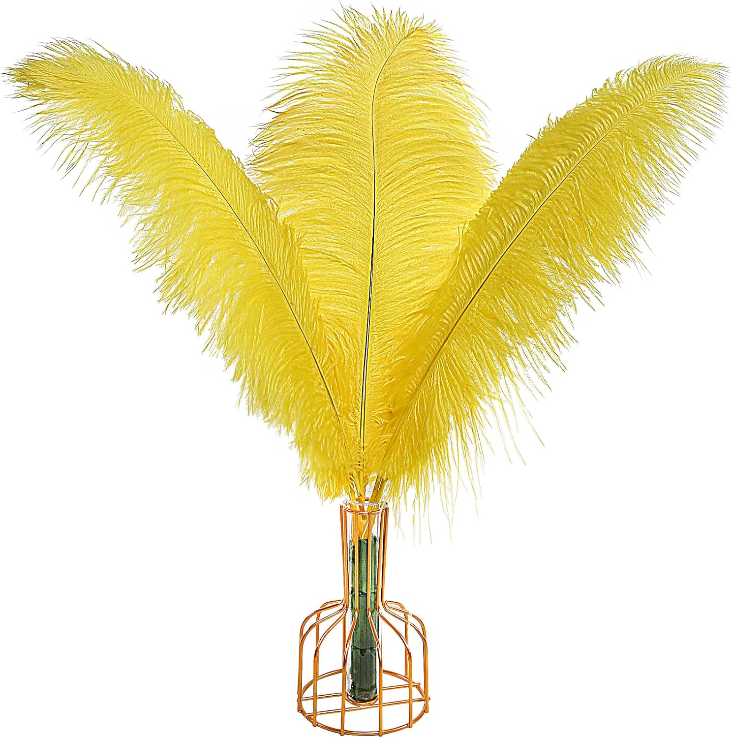 Natural Bulk Ostrich Feathers for Elegant Wedding Decor
