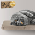 Wall Mounted Cat Perch Long Shelf - Sustainable Felt Hammock Bed