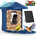 PeckCam: 2K Live Stream & Bird ID for 10,000+ Species