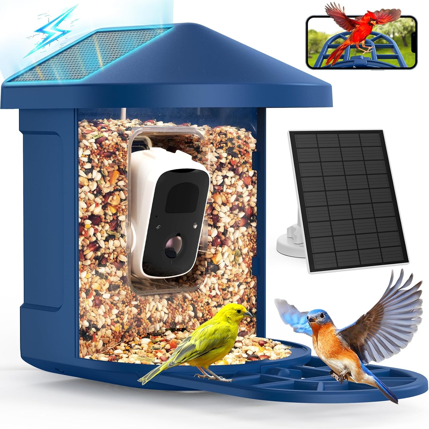PeckCam: 2K Live Stream & Bird ID for 10,000+ Species