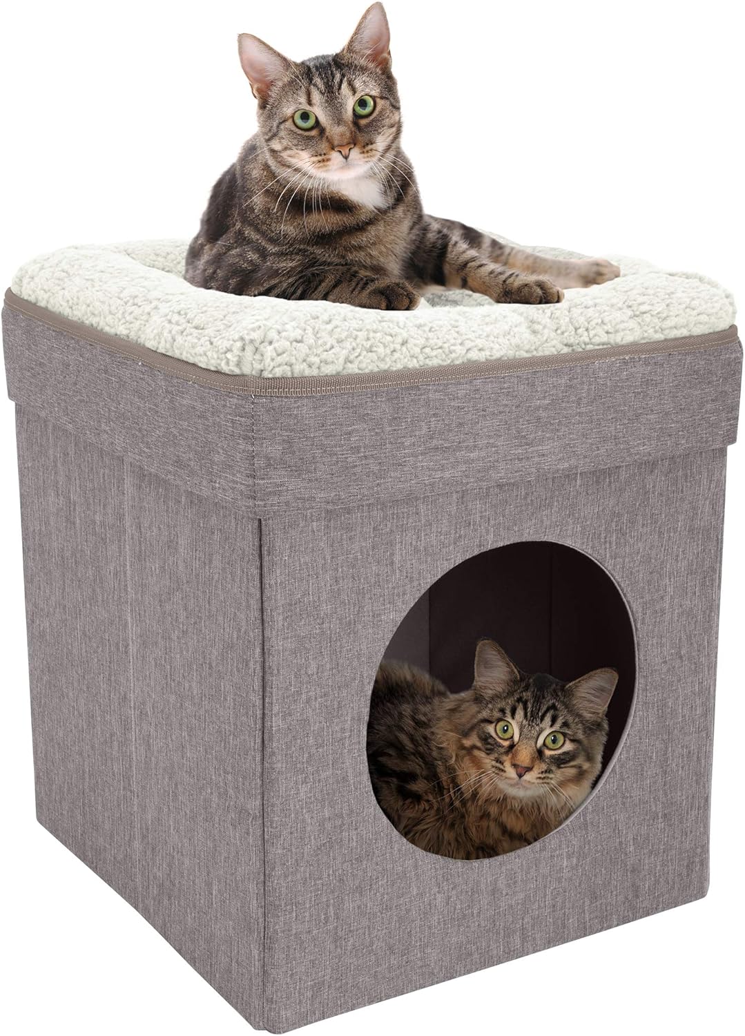 Cozy Kitty City Indoor Cat Cube Furniture for Your Feline Friend