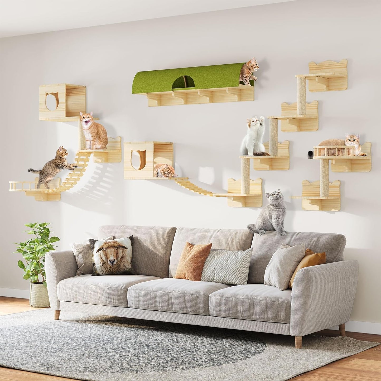 Cat Wall Shelves for Felines - Stylish Pine Wooden Furniture