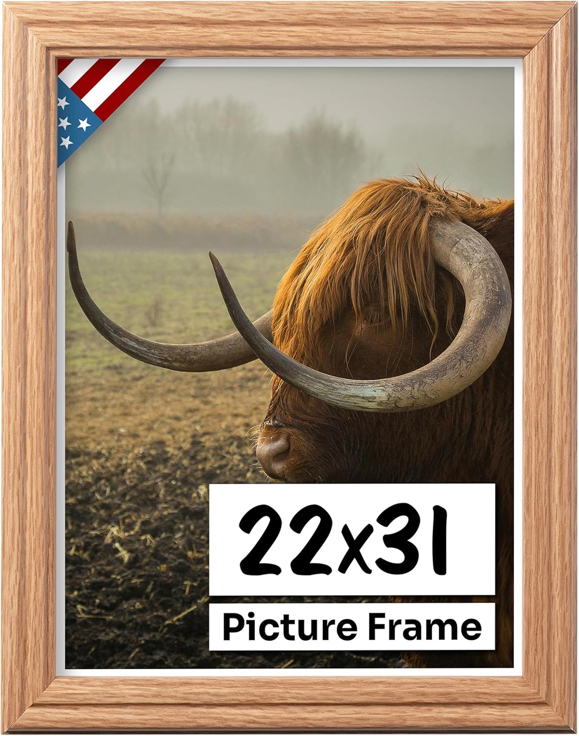 Oak 22x31 Picture Frame with UV-Blocking Plexiglass for Art
