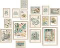 16 PCS Framed Sage Green Wall Art Decor - Matisse Prints for Gallery