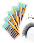 YY Eyelash Extensions Premade 4D Fans 0.07mm C Curl 11-15mm - Fast