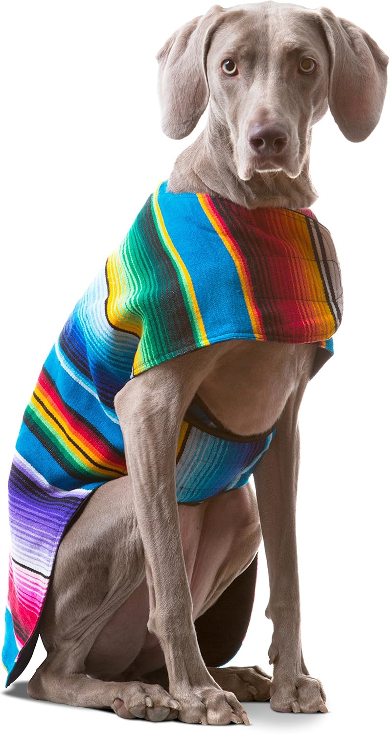 Handmade Dog Poncho from Authentic Mexican Blanket - Unique Style