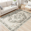 Rugflix 3x5 Area Rugs for Living Room, Soft Vintage Carpet